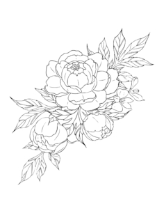 Flower Peony Botanical Tracing Shape Pdf, Free Vectors File